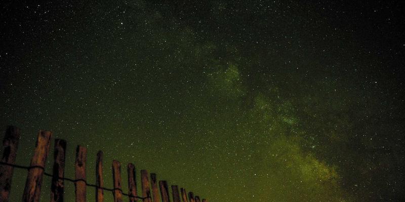 从实验室到衣橱:生物基时尚材料如何重塑产业链生态与消费者选择