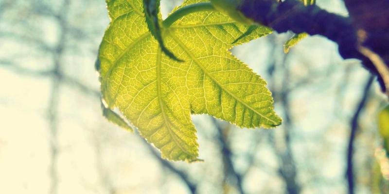 可持续时尚：如何巧妙平衡环保理念与潮流设计感