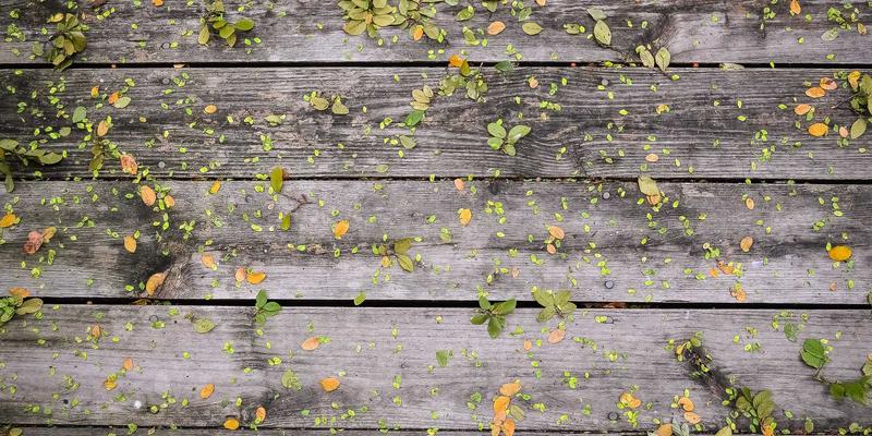 可持续时尚的悖论：在环保材料与消费主义潮流中寻找平衡之道