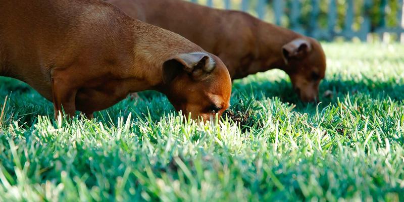 工业风时尚：从废弃工厂到潮流前沿的服饰革命