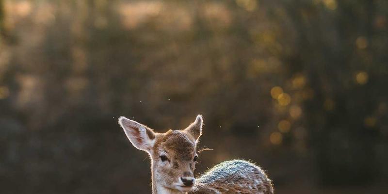 工业风时尚:从废弃工厂到潮流前沿的穿搭资讯全解析