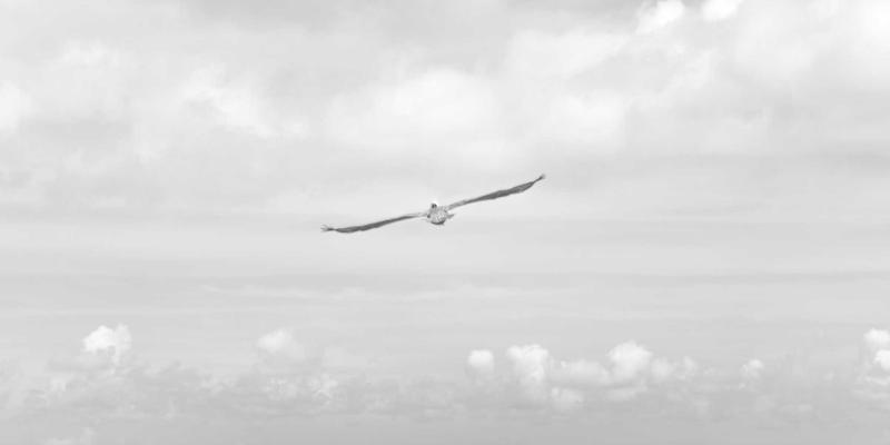 时尚21：解码工业风穿搭，用硬核美学定义你的风格