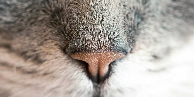 时尚23:解码年度潮流,解锁服饰穿搭新公式