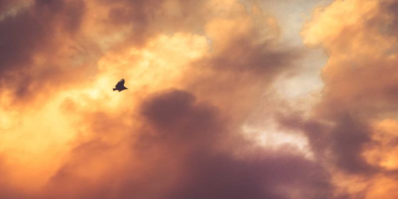 时尚41：解码当代服饰资讯的流动与重塑