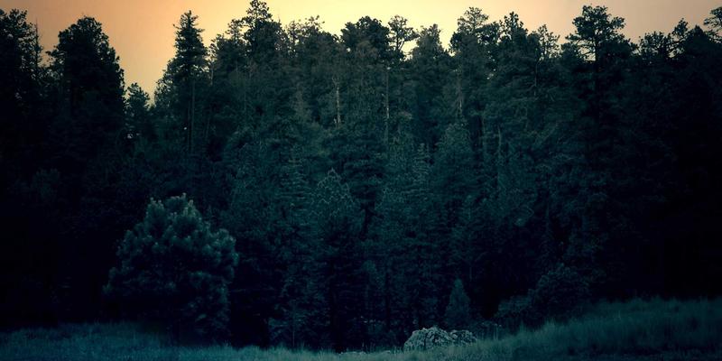 男性基础款衣柜投资清单：解锁经典风格与高级质感的搭配指南