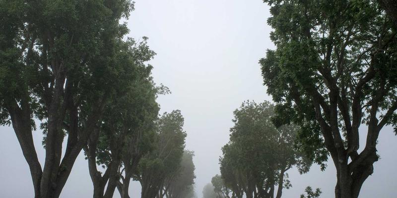 穿搭风格新哲学：构建胶囊衣橱，践行慢时尚的可持续消费指南