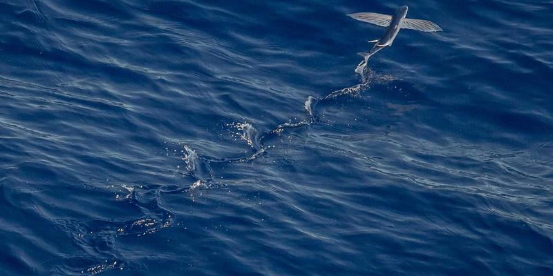 解码时尚最佳实践:掌握潮流、风格与穿搭的永恒法则